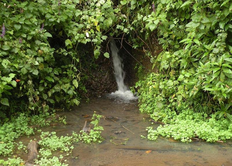 Shekolo Forest Natural Springs